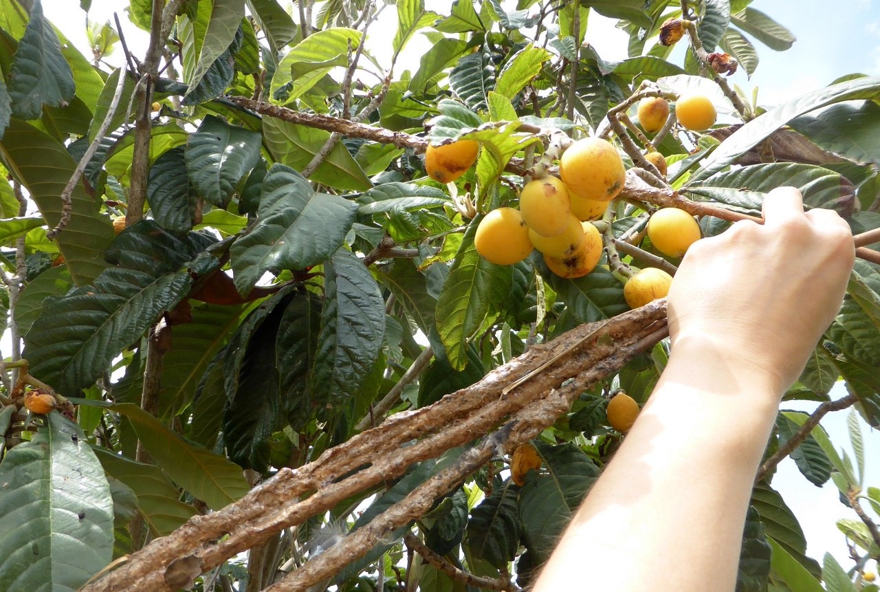 Zypern-Fr&uuml;hjahrs-Vogelschutzcamp-Report - Bild 2